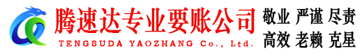 应城讨账公司
